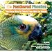 Feathered Phonics The Easy Way To Teach Your Bird To Speak Volume 1: 96 Words and Phrases
