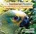 Feathered Phonics The Easy Way To Teach Your Bird To Speak Volume 1: 96 Words and Phrases