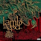 Ashes Of The Wake [Explicit]