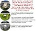 Book The Down and Dirty How To Earn Extra Money, Inner Game and Accounting & Finance for Vitamin Supplements Web Biz 3 CD Course