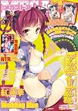 メガストア 2012年07月号