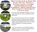 Search : The Incredible How To Earn Extra Money, Inner Game and Biz Networking for Martial Arts Training Equipment Web Biz 3 CD Course