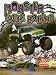 Monster Truck Racing (The Thrill of Racing)