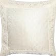 ShalinCraft Throw Pillows Case Protector in Silk 16x16 inches (bcbr227)