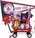 Boston Red Sox Baseball Radio Flyer Baby Wagon by Kara Nessian
