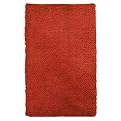 Contemporary Home Bath Rug - Chinese Red (23.5x38")