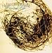 Patrick watson, Luscious life