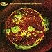 311-From Chaos cd cover
