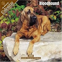 Bloodhound 2008 Wall Calendar