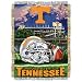 Tennessee Volunteers 48x60 Acrylic Tapestry