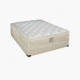 Plush Mattresses