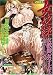 <STRONG>女奴隷</STRONG> <STRONG>女教師、女子大生、デパートガール・・・DVD-PG</STRONG>