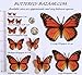Translucent Butterfly Monarch - 15 Transparent Monarch Regular Size Butterflies
