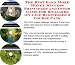 Book Massive Cash Flow Pack with Generate Extra Cash, Marketing and Inner Game for Billiards On-line Businesses 3 CD Pack