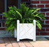 DMC Products Chippendale 18-Inch Square Solid Wood Planter, White
