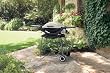 Weber 396002 Q 200 Portable Gas Grill