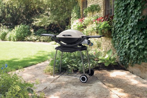Weber 396002 Q 200 Gas Grill