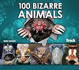 100 bizarre animals