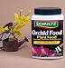 Schultz Orchid Food - Feeds All Orchids!-Micronutrients
