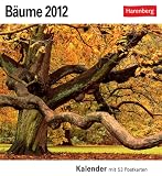 B&auml;ume 2012: 53 Postkarten - 