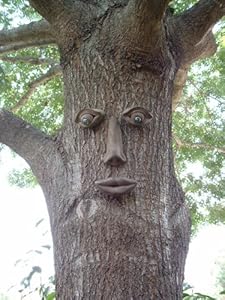 Simon Forest Face Tree Face