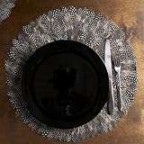 IMAGE OF Guinea Feather Decorative Placemat Set
