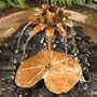 Dripper-Fountain Copper Lotus