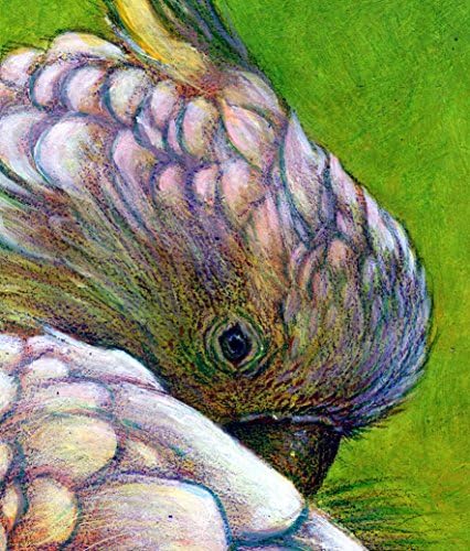 Cockatiel bird art wildlife animal original painting 8 x 10 conservation art pet Sulphur Crested Cockatoo
