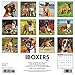 Just Boxers 2017 Wall Calendar (Dog Breed Calendars)