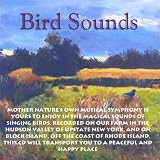 Birds By the Stream