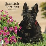 Scottish Terriers 2009 Wall Calendar 12 X 12