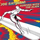 Surfing with the...