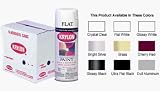 Krylon Interior/Exterior Spray Paint (12 oz.) - Flat White
