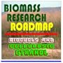 21st Century Biomass Research Roadmap - Biofuels and Cellulosic Ethanol, Feedstocks, Sugars, Thermochemicals, Integrated Biorefineries, Energy Crops and Fuels, Corn, Oil, Pulp, Paper (Ringbound)