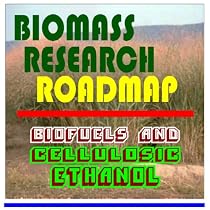 21st Century Biomass Research Roadmap - Biofuels and Cellulosic Ethanol, Feedstocks, Sugars, Thermochemicals, Integrated Biorefineries, Energy Crops and Fuels, Corn, Oil, Pulp, Paper (Ringbound)