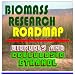 21st Century Biomass Research Roadmap - Biofuels and Cellulosic Ethanol, Feedstocks, Sugars, Thermochemicals, Integrated Biorefineries, Energy Crops and Fuels, Corn, Oil, Pulp, Paper (Ringbound)