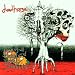 Dead Flowers-Peaceful Death & Pretty Flowers