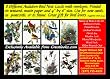 Set of 8 Unique Audubon Bird Note Cards and Envelopes