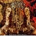 Best of Black- & Deathmetal