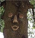 Smiley Forest Face