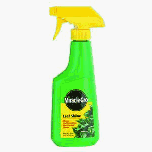 Childrens Toyshop  Outdoor Living : Miracle-Gro Leaf Shine Ready To Use 12 oz. #100540
