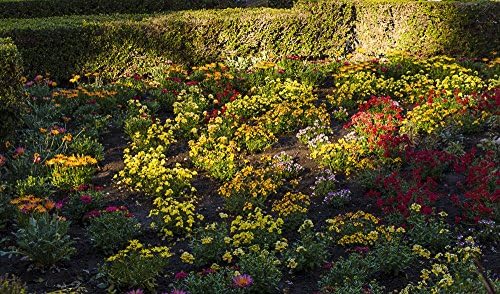 Flower Garden, Balboa Park, Photography, City Photography, San Diego California, Wall Art, Ink-Jet Print, Travel Photography Print,