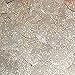 Sequin Teardrop 1.5