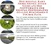 The Special Earn More Money, Inner Game and Biz Networking for Digital Photography On-line Businesses 3 Course Pack