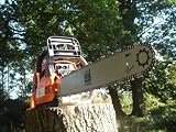 from MJ Tools 58cc Petrol Chainsaw with 20 Bar, TWO 76 link chains, Easy Start & Carry Case Model CS 5800