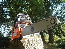 58cc Petrol Chainsaw with 20" Bar, TWO 76 link chains, Easy Start & Carry Case