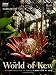 The World of Kew (A New Year at Kew)