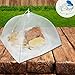 Mesh Screen Food Cover Tents - Set of 6 Large Galvanized Steel Wire Pop-Up Tents, Stylishly and Conveniently Keeps Bugs Away From Food by Chuzy Chef
