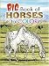 Big Book of Horses to Color
