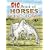 Big Book of Horses to Color (Dover Pictorial Archive)